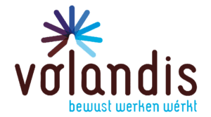 Volandis logo